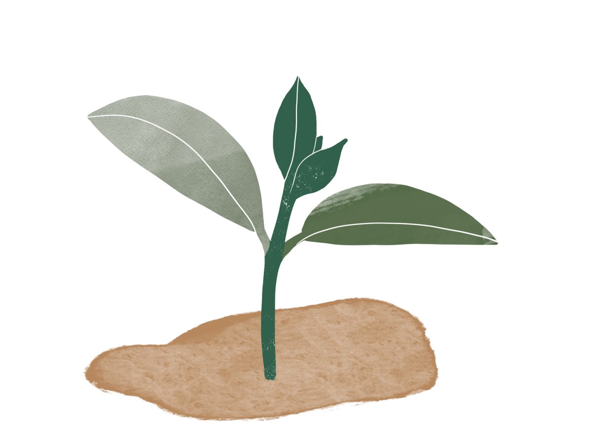 Sankalpa, la puissance de l&rsquo;intention